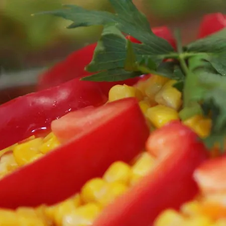 Hotel-gasthof Restaurant Murblick Hotel Judenburg