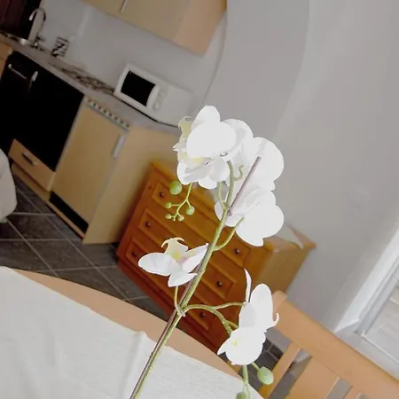 Hotel Hotel-gasthof Restaurant Murblick Judenburg