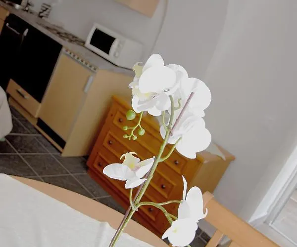 Hotel Hotel-gasthof Restaurant Murblick Judenburg